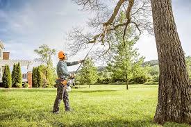 Best Hedge Trimming  in Sacred Heart University, CT